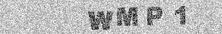 Potrditvena koda