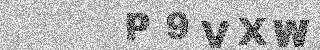 Potrditvena koda